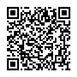 而且从对方的动作来看气焰可以说是十分的嚣张二维码生成