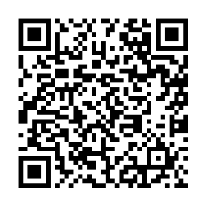 而且从对方的身上龙傲天一点都感觉不出人类的气息二维码生成