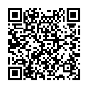 而且从泡沫之海中还蔓延出了几十根粉红色的肉触二维码生成