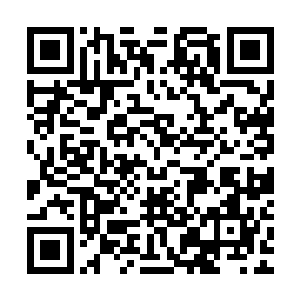 而且从雷兽的语气之中龙傲天也感受到了雷兽的那种激动的情绪二维码生成