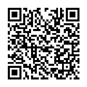 而且从雷霆仙府收刮的那些衣服可不都是雷属性的二维码生成