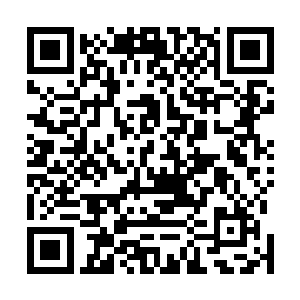 而且他以前来的时候居然没发现芮阁家里藏了这么多基酒二维码生成