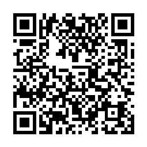 而且他们一个个也全都是警惕的看着自己周围的人二维码生成