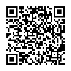 而且他们两个人也会有国家颁发并承认的一式两份的二维码生成