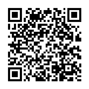 而且他们利用了废墟的掩护……如果增援部队能够快一点的话二维码生成