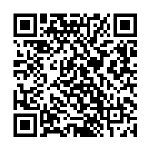 而且他们十几个人中有两个人根本看不出他们的修为二维码生成