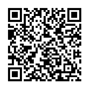 而且他们在这城市之中所见到的人几乎都是纯血统的人类二维码生成