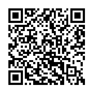 而且他们的人也都是被人灭杀之后连踪迹都没了二维码生成