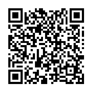 而且他们肯定也知道局里有人正布下了网等着他们二维码生成