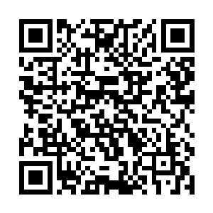 而且他们还看到叶枫真的像模像样的拿出了一张证件二维码生成