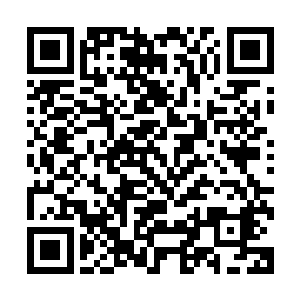 而且他们这一辈子也没有想过会拥有这么一支庞大的医疗团队二维码生成