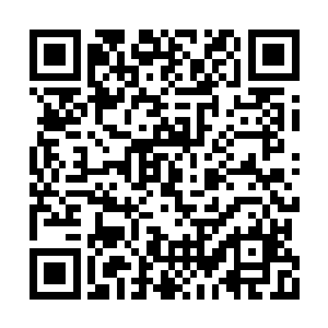 而且他刚才的攻击明明已经封锁了夏天所有的路二维码生成