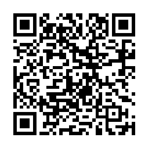 而且他本身的法相金身乃是法相榜排行第十九位的嘲凤二维码生成