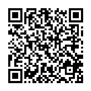 而且他流露出来的表情神色也不像是追女孩子的姿态二维码生成