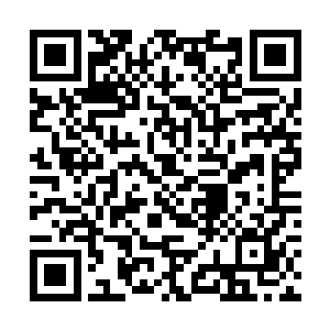 而且他要杀的人就是那些长老和太上长老下面的天才二维码生成