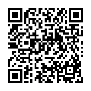 而且他还曾经一度怀疑这小子是肖中海的私生子二维码生成