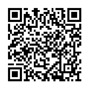 而且他这个搜寻魔兽的能力可以说是非常的妖孽二维码生成