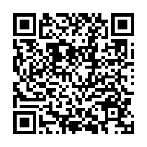 而且他面前的那个半步地级的高手已经做好了防守的准备二维码生成