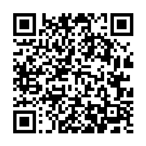 而且以第二作者的身份发表过论文的王耀武还是非常厉害的二维码生成