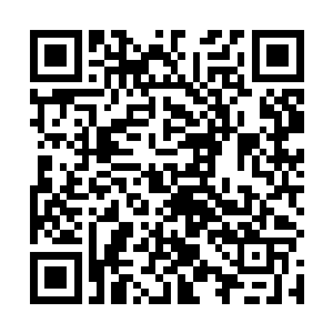 而且仿佛是继承了铁血战士的战斗本能和战斗经验一般二维码生成