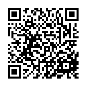 而且众人也是发现向左老老实实的跟在了这位年轻人的身后位置二维码生成