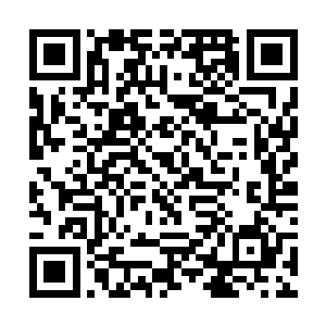 而且体内法力比一般结丹后期大圆满的修士多了不少二维码生成