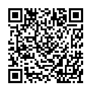 而且作为辅助的他们还都留下了一截自己的神识二维码生成