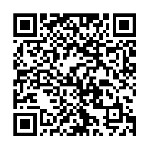 而且你不觉得欣赏一个人即将步入死亡时候的痛苦挣扎神情二维码生成