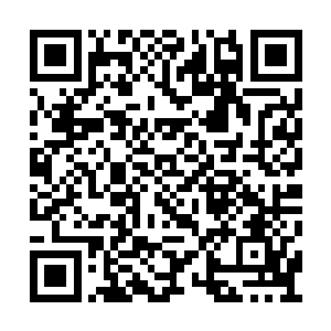 而且你们不觉得稍微胖一点更符合公狮的形象吗二维码生成