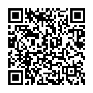 而且你们华达钢铁在民营钢铁企业中仅次于沙钢二维码生成