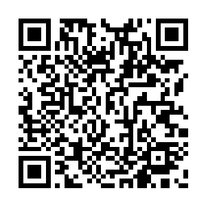而且你们身上不是有血妖神君种下的血道禁制吗二维码生成