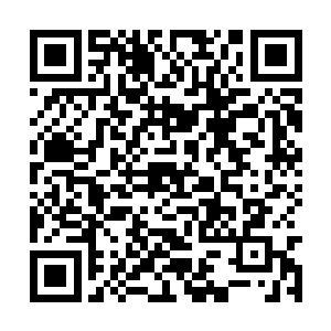 而且你自己的神魂内就融合了大量源自伏羲的数据二维码生成