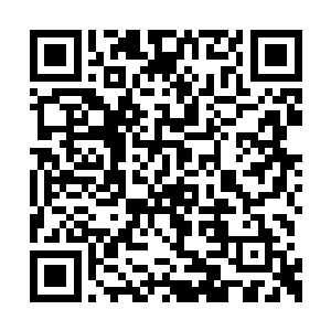 而且元定帝似乎有意将沈砚山直接升为一品大员二维码生成