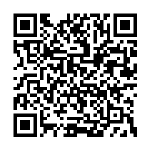 而且兰苑的境界一看就知道不是用丹药堆起来的二维码生成