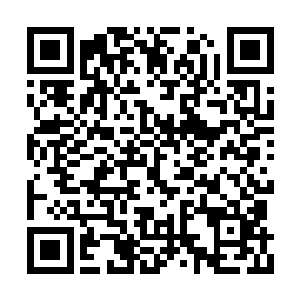 而且关系大了去了……正好你不也想学点东西吗二维码生成