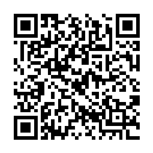 而且其中两人更是先天之中的佼佼者……巅峰先天二维码生成