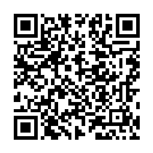 而且其资历也不需要蓝岛市委书记这样一个经历来充实了二维码生成