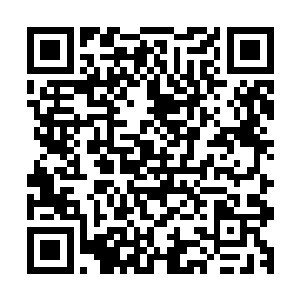 而且凭着圣级六层后期巅峰的神识在这里能够调动一部分元力二维码生成