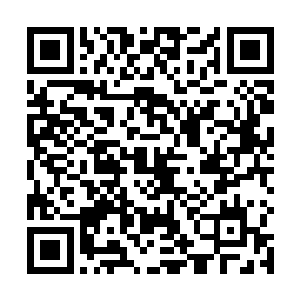 而且凭着许紫烟的法力也不可能支撑一个如封似闭大阵二维码生成
