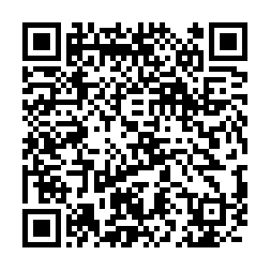 而且刚刚刘公公看到逃出来的白瞳儿却没有露出惊讶或者生气之色二维码生成