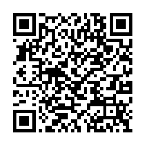 而且刚才在张璐涵家里的时候一直都在讨论剧本二维码生成