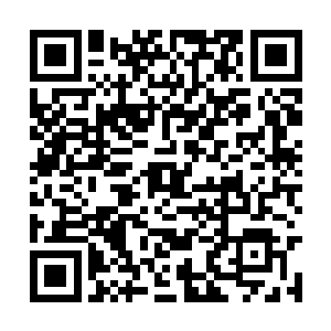 而且刚才威力最大的星辰崩也只是毁去了八只魂兽二维码生成