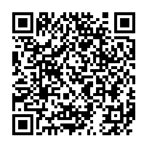 而且刚才这个公子哥的手下肯定已经将他们几个的样貌拓印下来了二维码生成