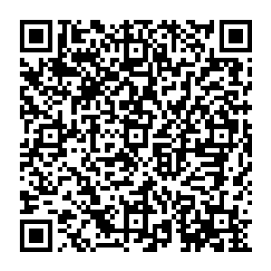 而且刚才那扭断眼睛厉鬼脑袋提走了精神病厉鬼也绝对不会就这般轻易的就让我们离开这个山谷二维码生成