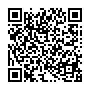 而且到时候沃尔科特的身边可能不可能有什么曼城球员二维码生成