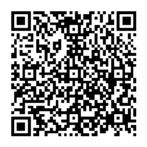 而且剩下的八个头颅也因为强大的血脉天赋而拥有了释放各种元素力量进行攻击的能力二维码生成