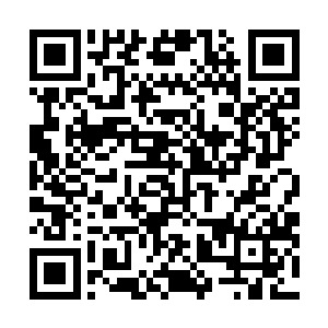 而且力量跟塔尔塔罗斯如今的力量已经相差不是太大的话二维码生成