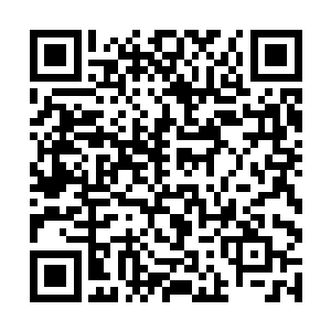 而且动作敏捷的在半山腰的地方一脚蹬住了一棵小树二维码生成