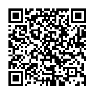 而且北方修仙界又没有什么值得东方青火宗所觊觎的东西二维码生成