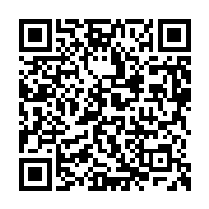 而且卢七娘明显是按照自己的要求去培养孩子的二维码生成
